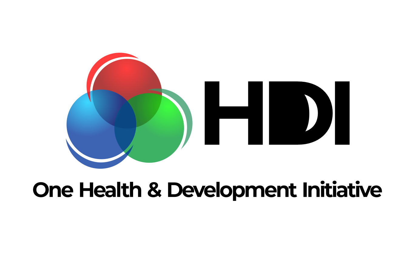 OHDI LOGO COLOURED (2)